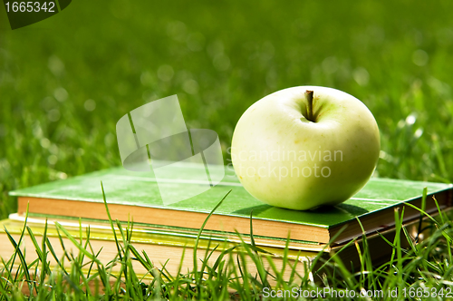 Image of Apple on pile of books on grass