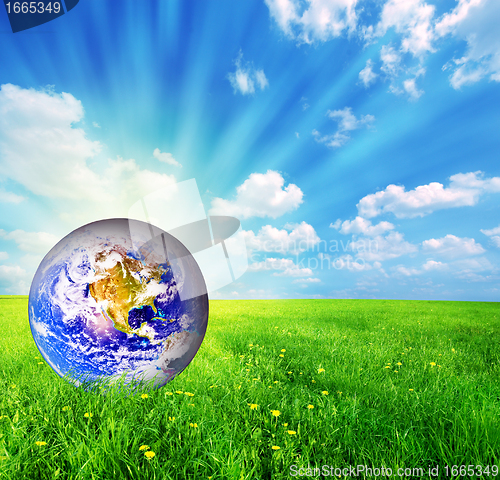 Image of Earth globe on green grass