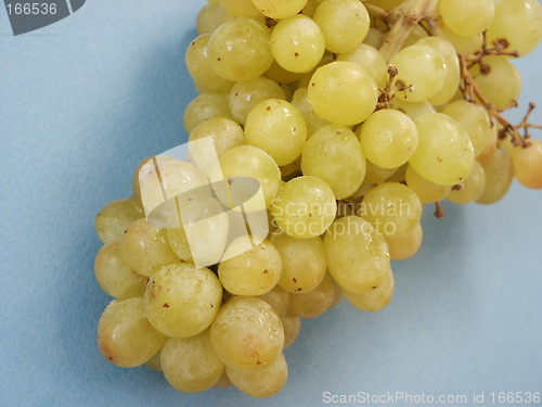 Image of Grapes