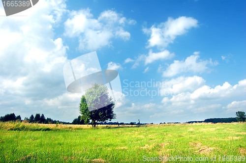 Image of Spring landscape