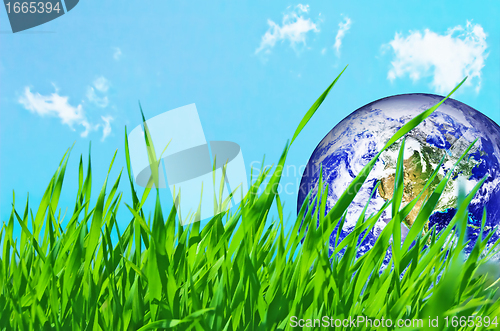 Image of Earth globe in green grass