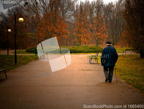 Image of Old aged man walks in park