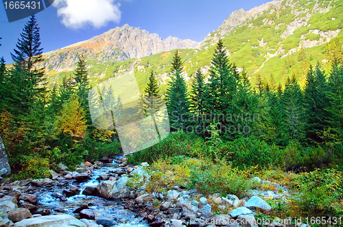 Image of Mountains colorful landscape