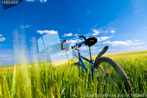 Image of Bike on the field