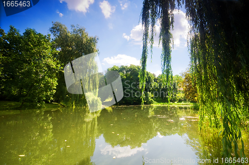 Image of Colorful autumn summer park