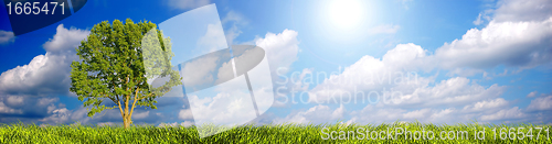 Image of Landscape panorama