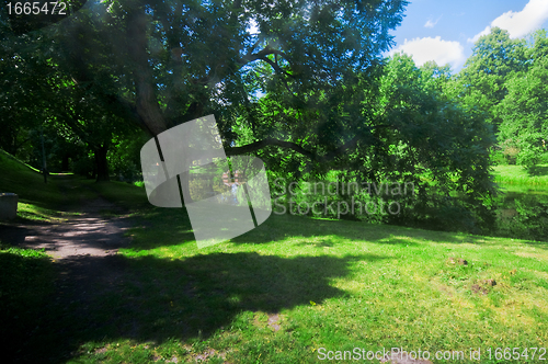 Image of Green summer park
