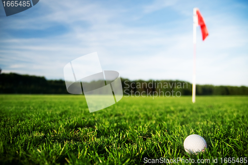 Image of Golf field