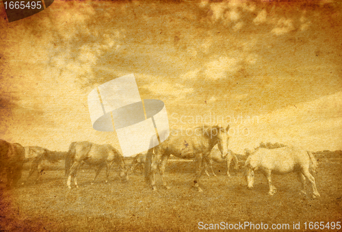 Image of Landscape and horses on vintage grunge paper