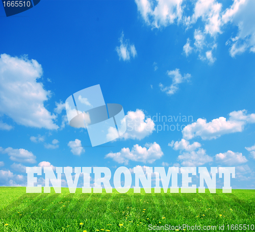 Image of Environment caption on green land