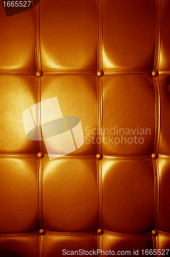 Image of Luxury genuine leather. Golden color