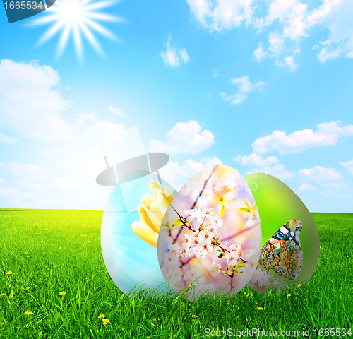 Image of Colorful easter eggs in nature