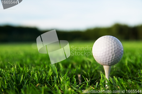 Image of Golf ball on tee