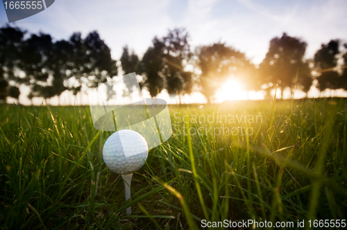 Image of Golf ball on tee