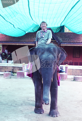 Image of Man riding an elephant