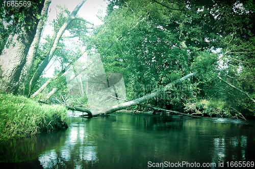 Image of Summer landscape