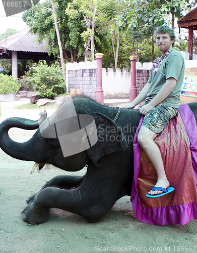 Image of Elephant riding