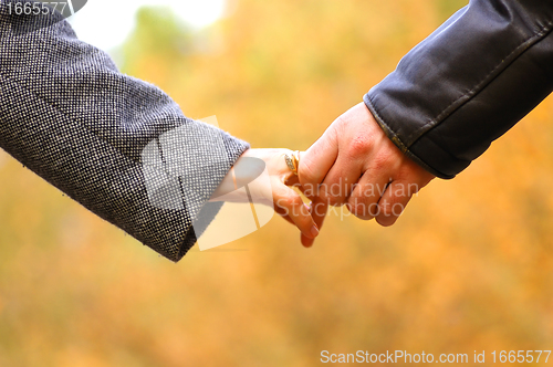 Image of Hand-in-hand