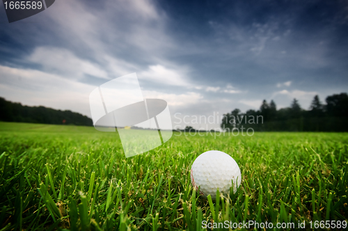 Image of Golf ball on on the field