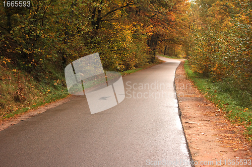 Image of Autumn scenery