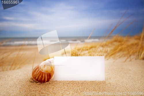 Image of Shell and a blank card on the beach