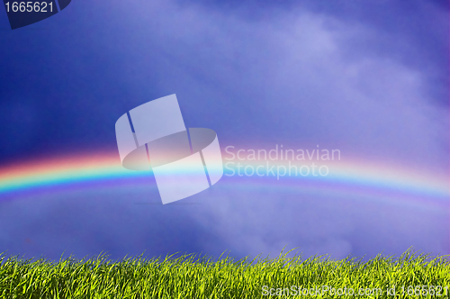 Image of Fresh grass and sky with rainbow