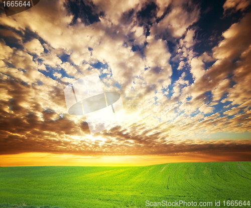 Image of Sunset over green grass field
