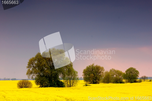 Image of Spring landscape