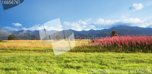 Image of Mountains panorama