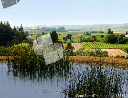 Image of Sonoma valley