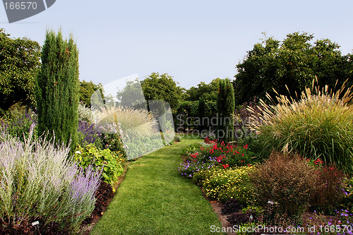 Image of Beautiful garden