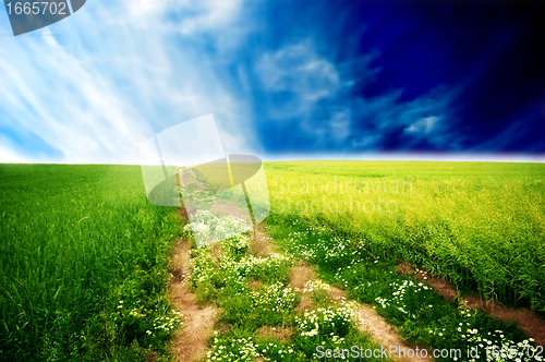 Image of Spring landscape