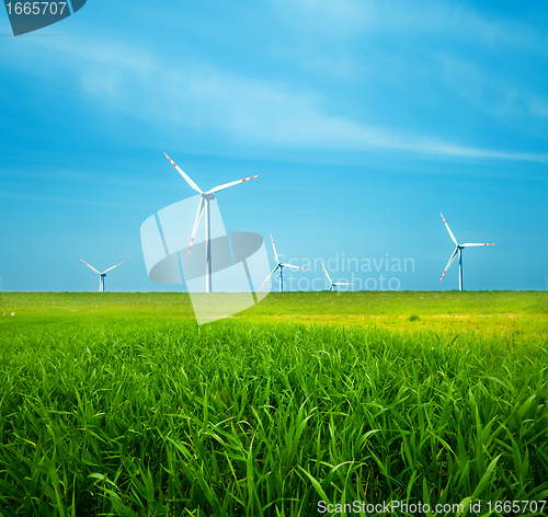 Image of Wind turbines on green field