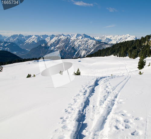 Image of Beautiful winter scenery with footpath