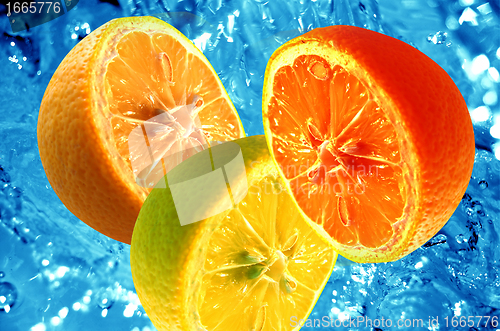 Image of Fresh citrus background