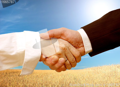 Image of Business handshake