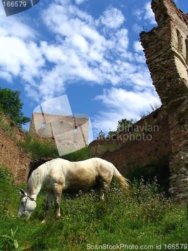 Image of Horse and ruins