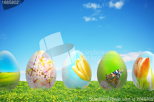Image of Colorful easter eggs in nature
