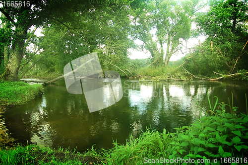 Image of Summer landscape