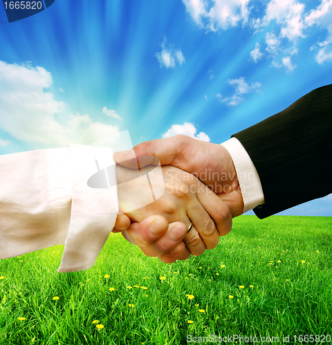 Image of Business handshake on nature background