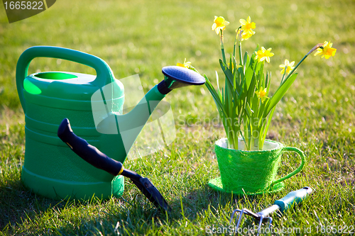 Image of Gardening tools and flowers