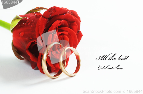 Image of Red rose and wedding ring
