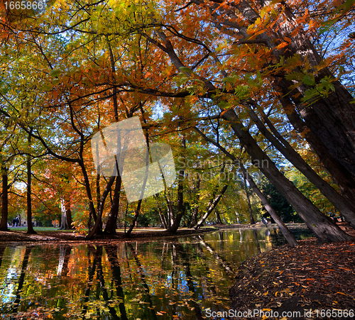 Image of Alley with falling leaves in fall park