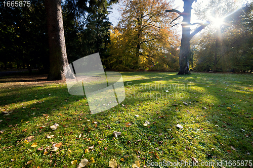 Image of Colorful fall autumn park