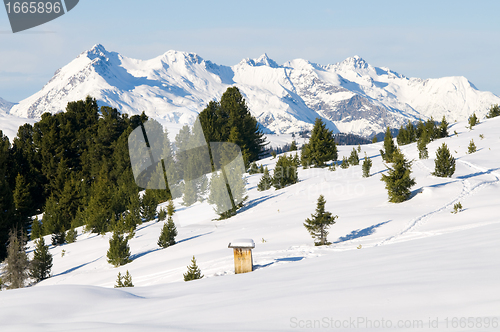 Image of Beautiful winter scenery