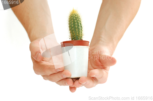 Image of Care about new life