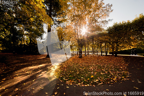 Image of Colorful fall autumn park