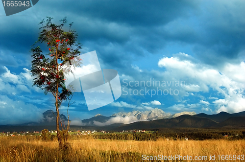 Image of Mountains landscape