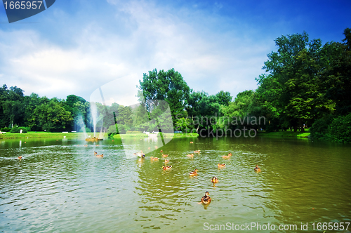 Image of Charming park with pond