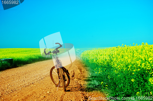 Image of Bicycle trip at summer